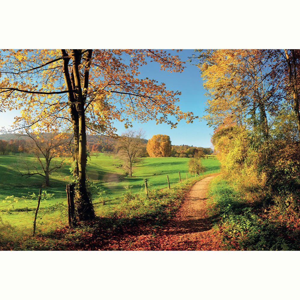 FOTO PAISAJE OTOÑO