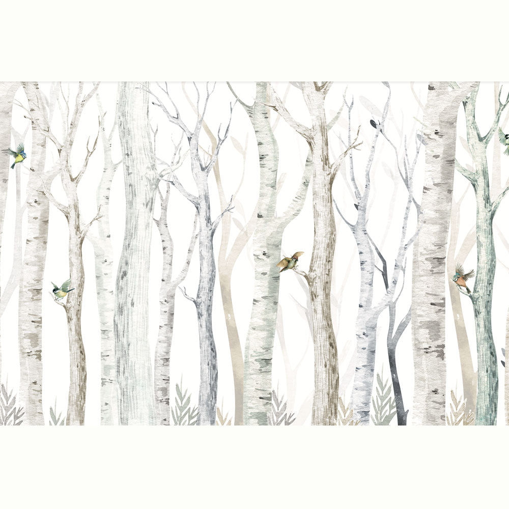 BOSQUE PAJARITOS