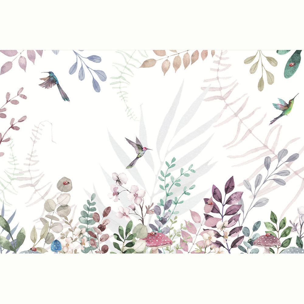 COLIBRIS BOTANICO
