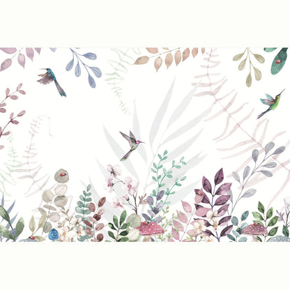 COLIBRIS BOTANICO