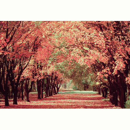 FOTO PAISAJE OTOÑAL CAMINO