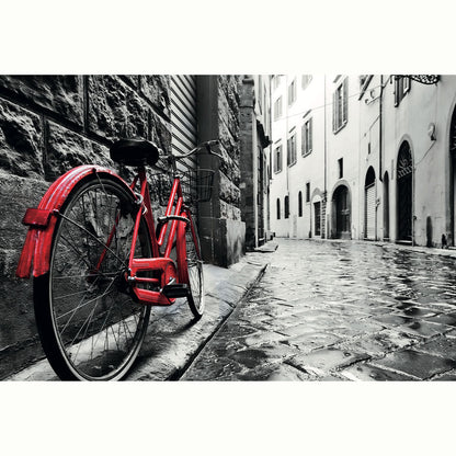 FOTOCITY BICICLETA BLANCO NEGRO