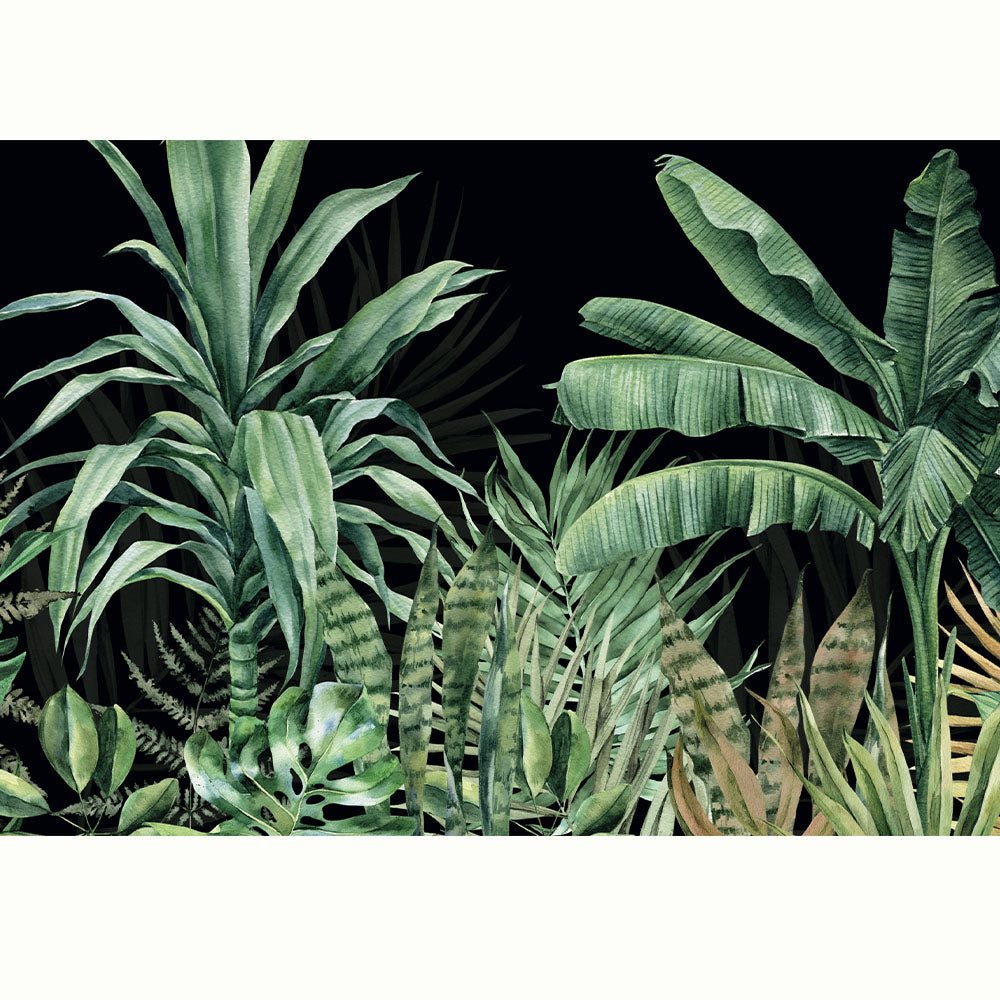 SELVA XL FONDO NEGRO