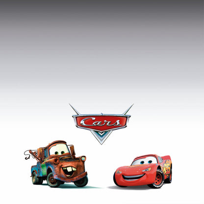 ROLLER ESTAMPADO RAYO Y MATE CARS