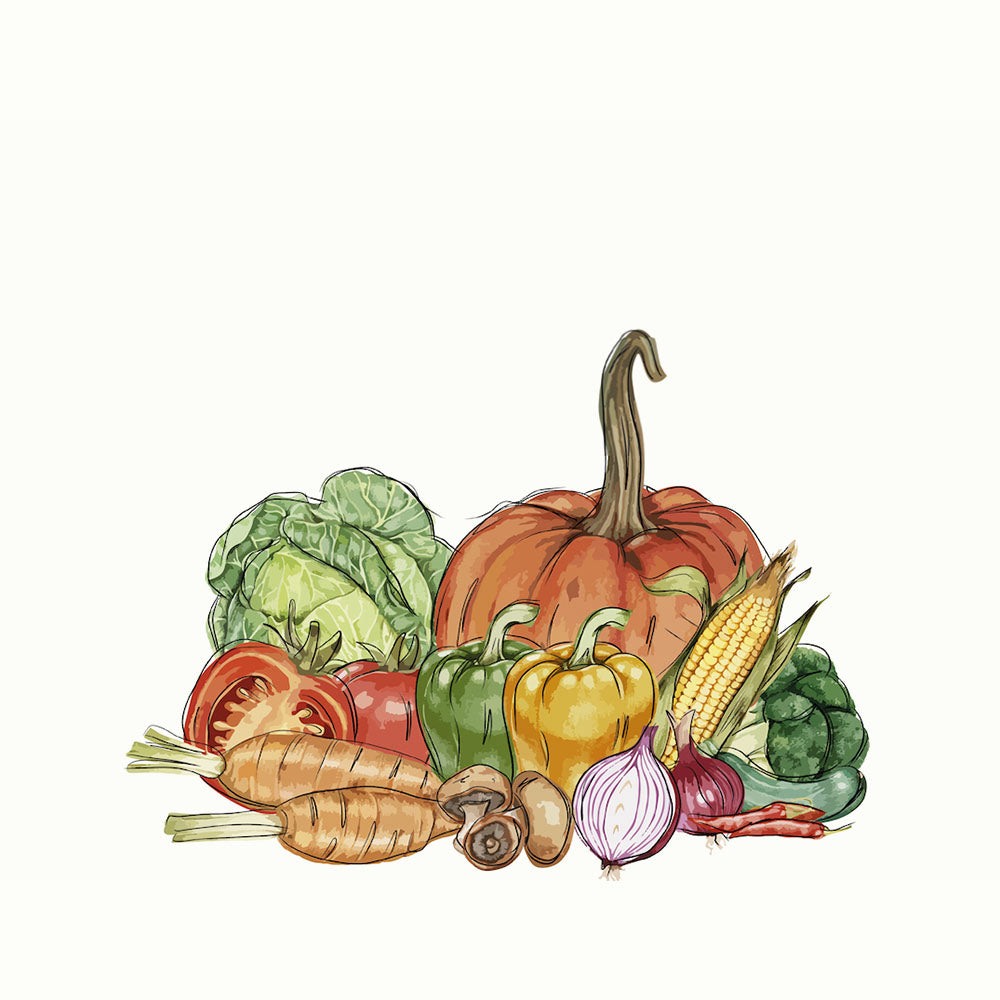 ROLLER ESTAMPADO VERDURAS ACUARELA GUARDA